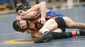 Wrestling: Princeton advances four from Class 1A Polo Regional