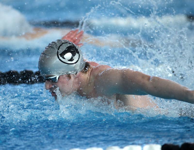 Plainfield’s Greg Benson swims the butterfly leg of the consolation heat of the 200-yard medley relay during the IHSA Boys Swimming and Diving Championships at FMC Natatorium in Westmont on Saturday, Feb. 26. 2022.