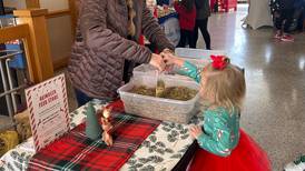 Bureau County Ag hosts free reindeer feed Store at Princeton Christmas Walk