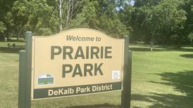 DeKalb Park District seeks input on Prairie Park improvements