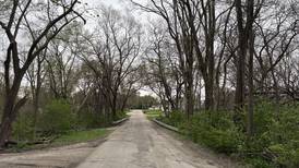 Streator council approves bridge work at Park, Bilger Street