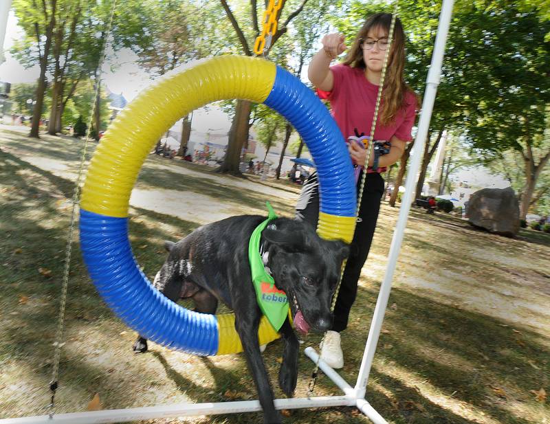 Billie Partridge runs her dog Mya though an agility course during Bill’s Barktoberfest Saturday at Washington Square in Ottawa.