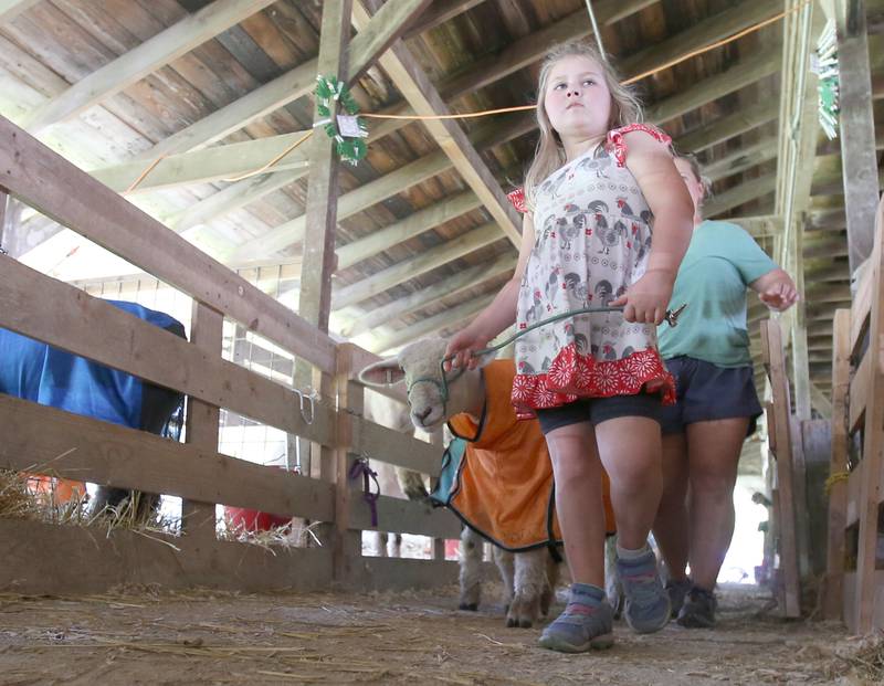 Jane Reed of Grand Ridge walks her sheep into the show arena during the La Salle County 4-H Fair on Friday, July 14, 2023 in Ottawa.