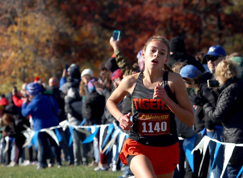 Crystal Lake Central’s Hadley Ferrero runs in a Class 2A Sectional Cross Country Meet at Emricson Park in Woodstock Saturday.