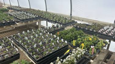 Red Barn Nursery celebrates 35 years
