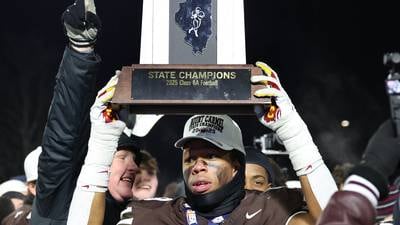 A look at how Proposal 19 to expand field from 256 to 384 teams could reshape football playoffs