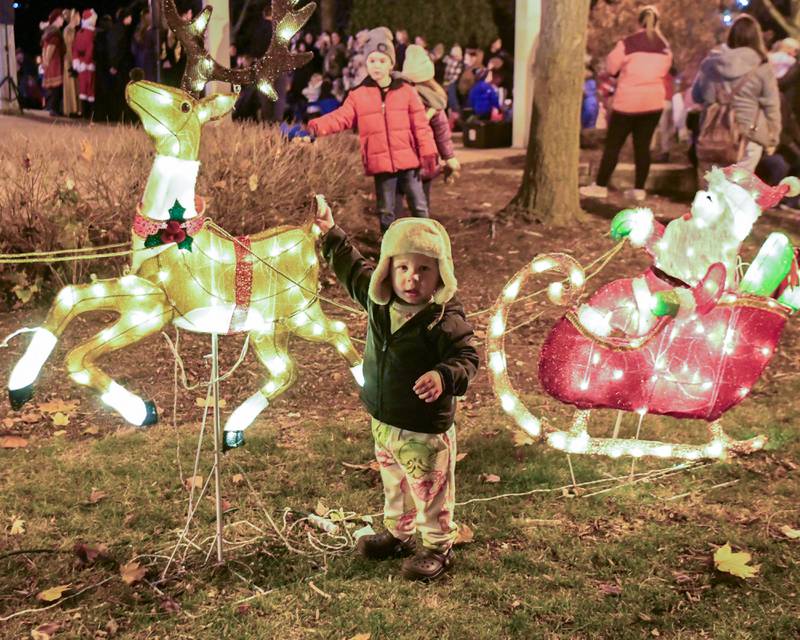 Bentley Belousek, 2, of Yorkville checks out a lighted up reindeer during the tree lighting ceremony on Friday Nov. 21, 2025, held at Riverfront Park in Yorkville.