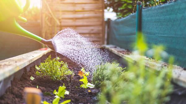 Artisan market, Master Gardeners series coming to DeKalb County