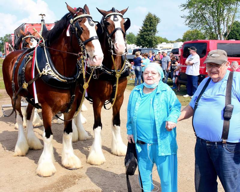 Sharon Lesak of Streator got to fulfill a lifelong dream to see the famous Budweiser Clydesdales in person.