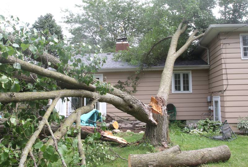 A tree blown down by Tuesday night's storms lies on a house on Parkside Dr. in Sycamore Wednesday, Aug. 11, 2021. Mondays tornado outbreak in DeKalb County was followed by severe weather Tuesday night and Wednesday morning causing more storm damage in the area.