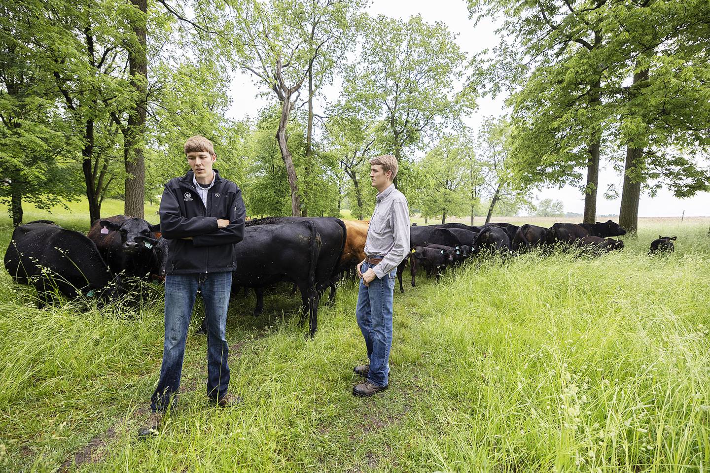 Joseph and Michael Ring stop out to feed the cows at their rural Oregon property.