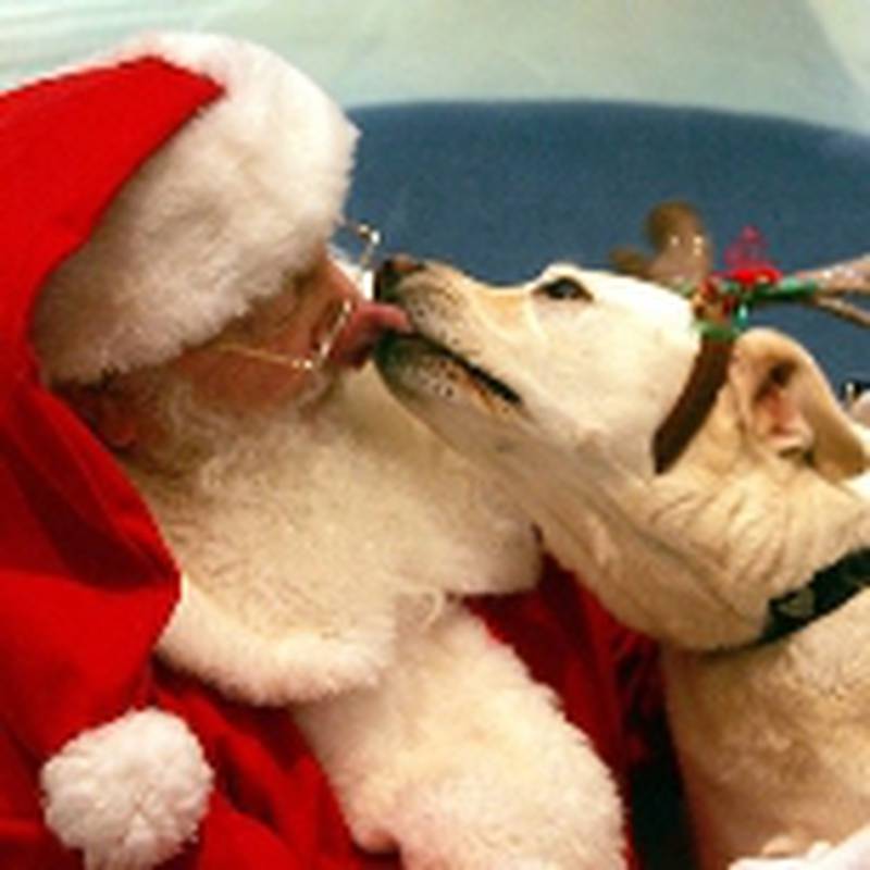Well-mannered, leashed or kenneled pets can visit with Santa in his “A Christmas Story” home Dec. 4 while professional photographers capture the memories as Santa and each fur baby enjoy a warm encounter.