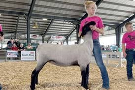 Princeton students compete in Section 3 FFA Summer Fair