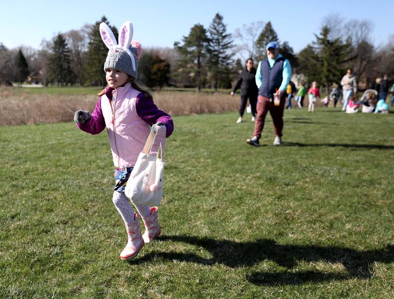 Elise Ofria, 6, of Glen Ellyn runs toward some eggs during an egg hunt hosted by the Glen Ellyn Park District at Maryknoll Park on Friday, April 7, 2023.
