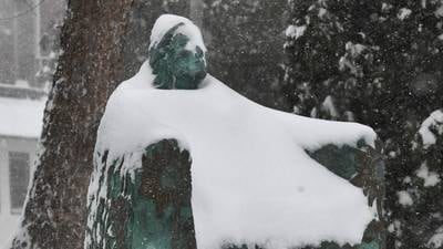 Winter storm drops up to 12 inches across northern Illinois: Here are the snow totals