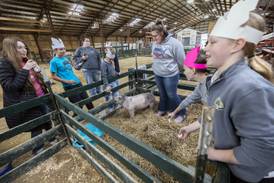Sauk Valley fifth graders get close-up view of farm careers at annual Ag Expo