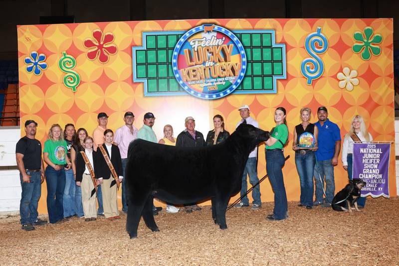 McKlay Gensini of Hennepin poses with her heifer, GDMN Miss Gigi ET, after winning the Grand Champion Maine-Anjou Female title at the National Junior Heifer Show in Louisville, Ky. It marks her third consecutive national championship.