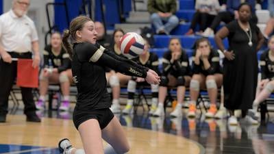 2023 Daily Chronicle Girls Volleyball All-Area Team