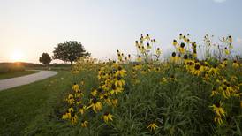Yoga on the Prairie offered at Perry Farm Park