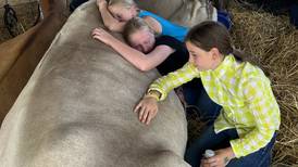 Ogle County 4-H Fair opens July 30
