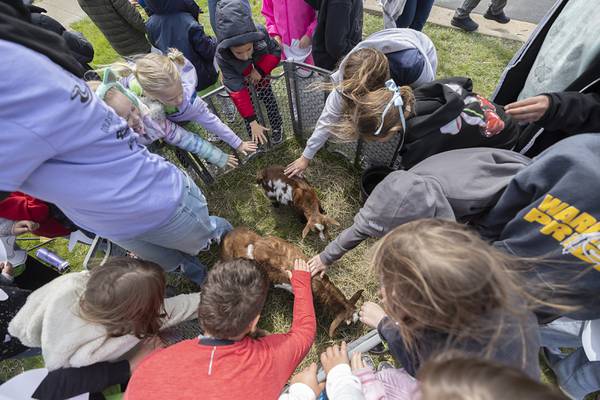 Photos: Sterling High School Farmapalooza 2026