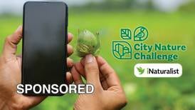 April’s Annual BioBlitz with the Sycamore Park District