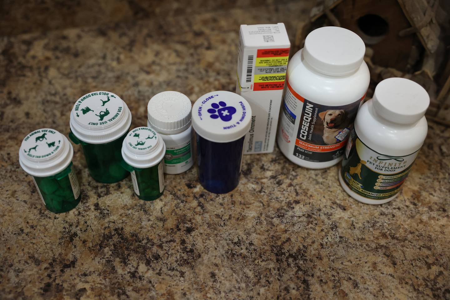 Kathy Vanoskey of Minooka has the medicine and supplements for her three dogs sitting on the counter. Vanoskey is raising money to pay for Teddy's surgery, a repair of the canine version of a torn ACL.