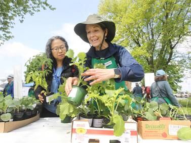 Firmly planted in Lake County, Master Gardener program expands