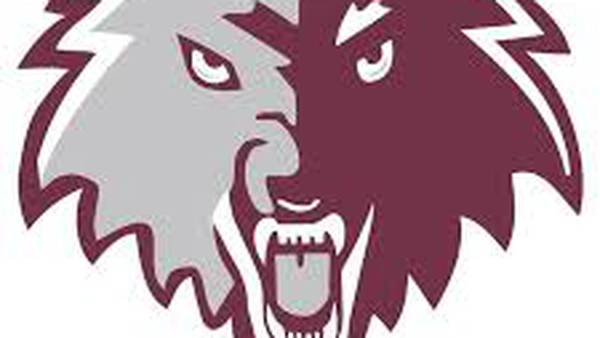 Northwest Herald’s Monday roundup: Nora Terhaar, Prairie Ridge gymnasts dominate Schaumburg Regional