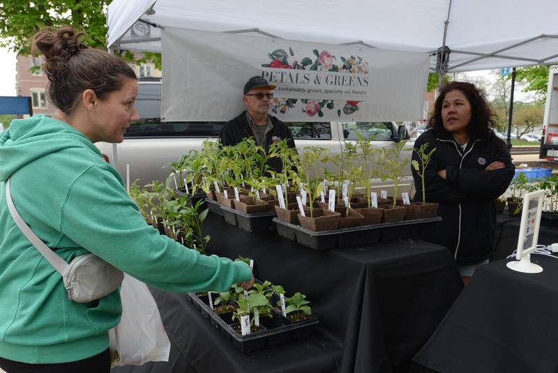 Kelly Makutenas of Downers Grove discusses herbs sold by Greg and Tami Bator of Lombard during the Downers Grove Farmers Market Saturday May 13, 2023.