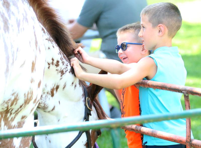 Kyson Grieff and his brother Kolt of Princeton, pet a painted horse during the 46th annual Beef and Ag Festival on Saturday, June 21, 2025 at Soldiers and Sailors Park in Princeton.