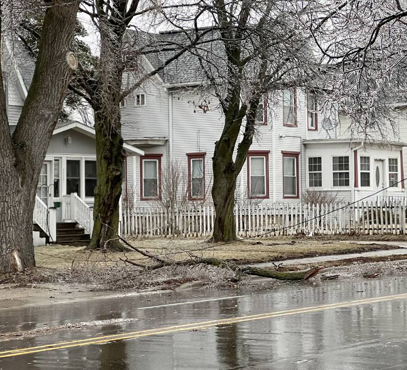 A large branch heavy with ice brought down wires on East Lincoln Highway between ninth and 11th streets Wednesday, Feb. 22, 2023, in DeKalb. East Lincoln Highway was briefly closed so crews could clean up the debris. Ice brought down branches, trees and wires in the northern section of DeKalb County causing localized power outages.