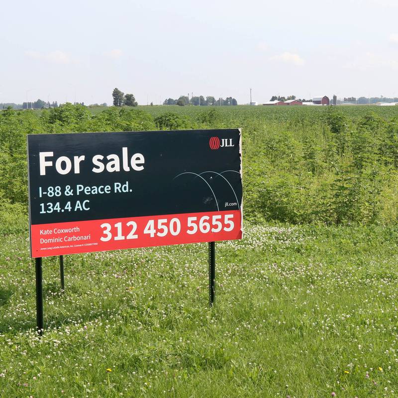 A for sale sign in front of a field at the northeast corner of Peace Road and East Gurler Road Friday, July 12, 2024, in DeKalb.