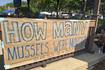 How many mussels relocated in Kankakee River?