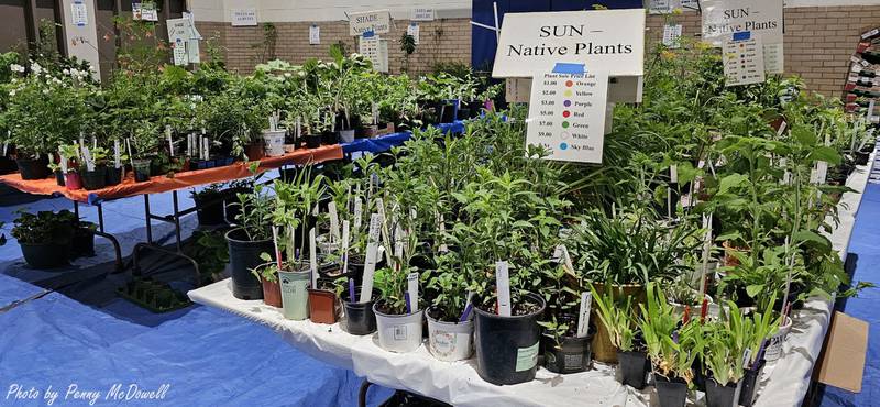 The Batavia Plain Dirt Gardeners' annual plant sale will be held from 9 a.m. to noon  Saturday, May 10 in the gymnasium at Bethany Lutheran Church, 8 S. Lincoln St.,
Batavia.