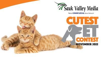 Vote in Sauk Valley’s November 2022 Cutest Pet Contest