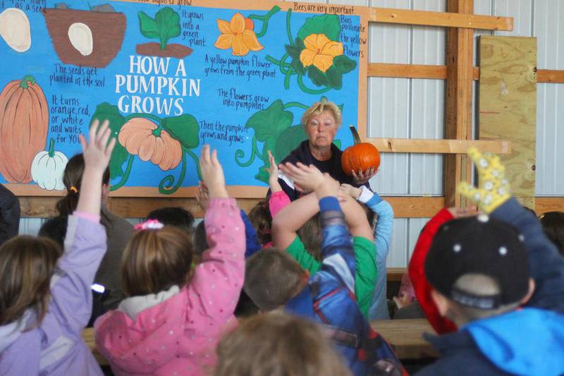 Family pumpkin farms in Grundy County area educate youth on farming