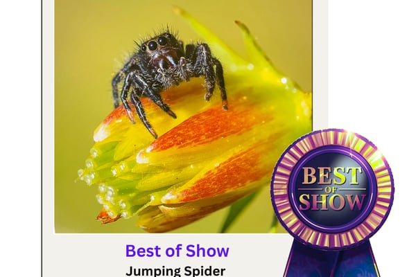 Jan. 3 ceremony set for Starved Rock photo contest winners 