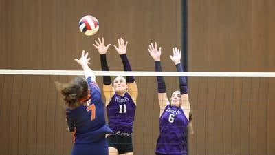 Photos: IHSA Class 2A Herscher Regional championship - Wilmington vs. Pontiac, girls volleyball