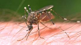 First human case of West Nile virus reported in Will County