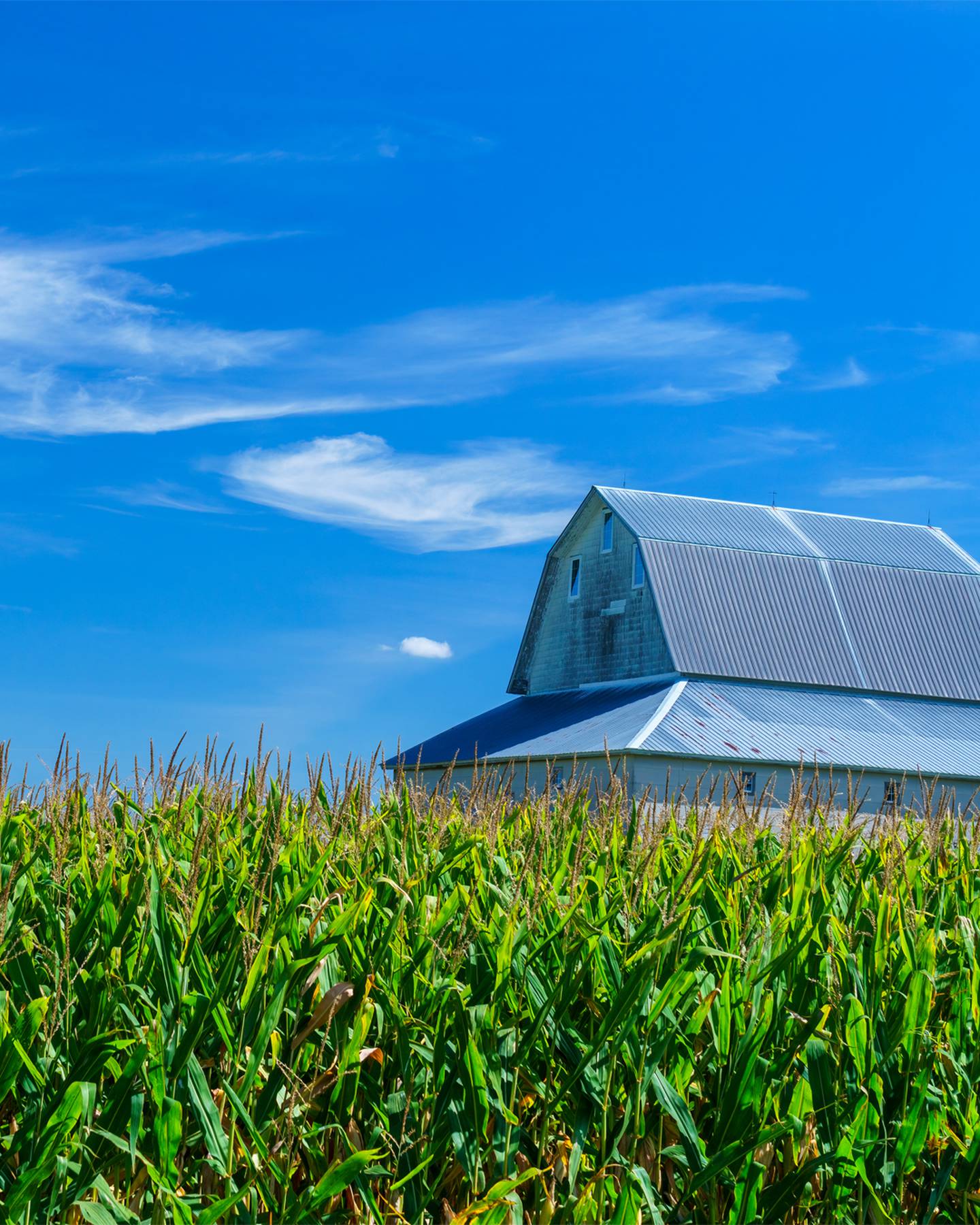 Come see the behind-the-scenes workings of agricultural sites in the I&M Canal National Heritage Area. Photo provided by Heritage Corridor Destinations