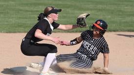 Softball: 2025 All-Fox Valley Conference team announced