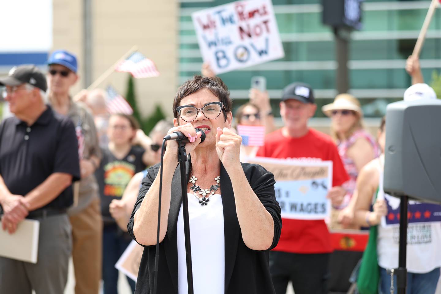 State Rep. Natalie Manley, D-Joliet, speaks at the No Kings Day rally at Larkin Avenue and West Jefferson Street in Joliet on Saturday, June 14, 2025.  The event was part of a nationwide protest movement against President Donald Trump.
