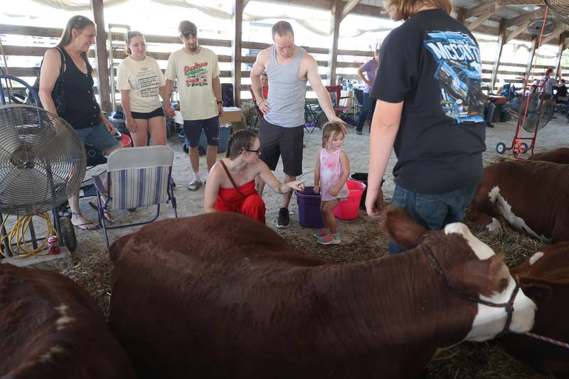 Lacey Austin and Warren Granzow let their daughter Penelope Rose pet the cows at the Will County Fair on Sunday, August 25, 2024 in Peotone.