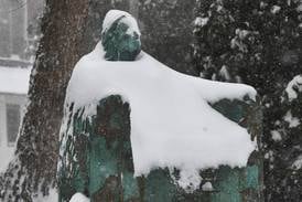 Winter storm drops up to 12 inches across northern Illinois: Here are the snow totals