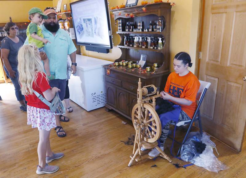 Areli Walker demonstrates how to spin yard from alpaca fur during a stop on the McHenry County Farm Stroll on Sunday, Sept. 29, 2024, at Hephzibah Farms in Hebron. The farm stroll, a self-guided tour of McHenry County’s family farms, featured farm tours, demonstrations and products for sale at eleven farms.