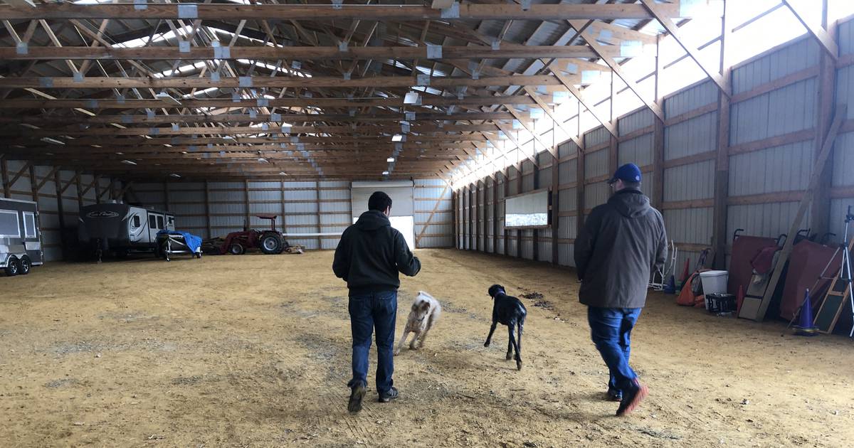 Furever Home Dog Sanctuary hopes to begin bringing in dogs by late summer; FurEver Coffee donating to cause – Shaw Local
