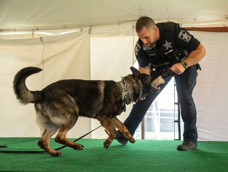 Officer Wisniewski and his K-9 Kylo from the McHenry County Sheriff’s office demonstrate how they play together during the K-9 Demonstration at the 75th Anniversary of the McHenry County Fair in Woodstock on Thursday, August 3, 2023.