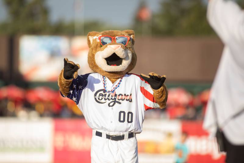Kane County Cougar's mascot Ozzie runs the bases at Northwestern Medicine Field on Saturday, July 2, 2022