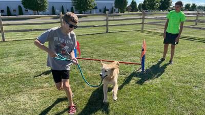 Oswego’s Happy Tails dog park opens; nearly 60 dogs already registered to play